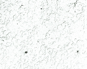 ModernBump Black And White