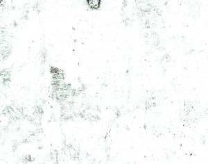 ModernBump Black And White