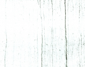 ModernBump Black And White