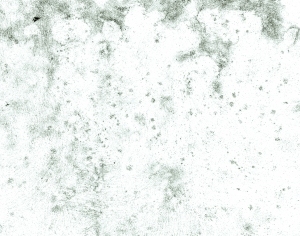 ModernBump Black And White