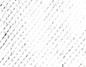 ModernBump Black And White