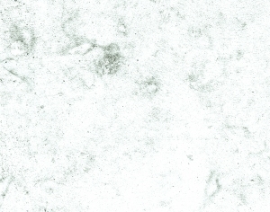 ModernBump Black And White