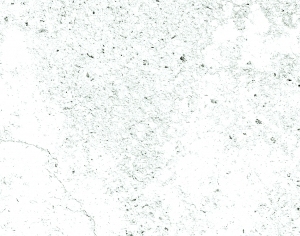 ModernBump Black And White