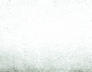 ModernBump Black And White