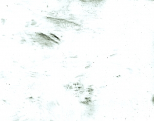 污垢脏旧墙地面凹凸黑白纹理-ID:114006048
