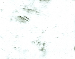 ModernBump Black And White