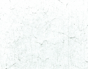 ModernBump Black And White