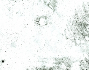 ModernBump Black And White