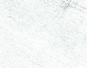 ModernBump Black And White