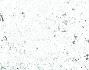 ModernBump Black And White