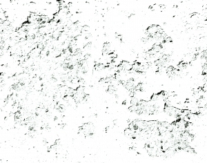 ModernBump Black And White