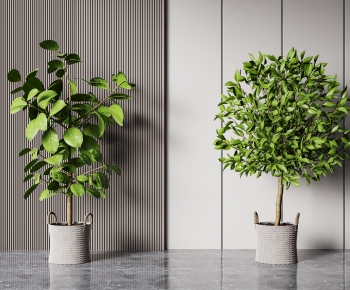 Modern Ground Green Plant Potted Plants-ID:869739067