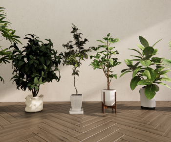 Modern Ground Green Plant Potted Plants-ID:217673066