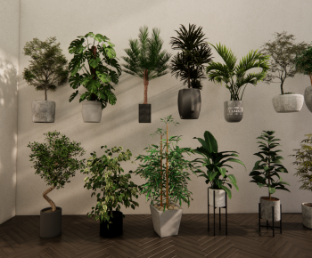 Modern Ground Green Plant Potted Plants-ID:374053963