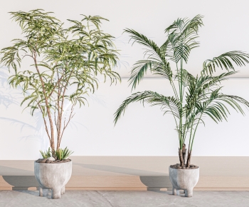 Modern Ground Green Plant Potted Plants-ID:410383948