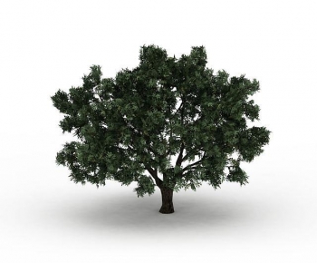 Modern Tree-ID:416227104