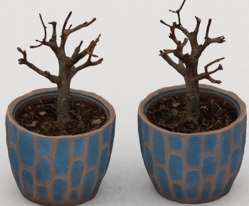 Modern Desktop Plant-ID:803850898