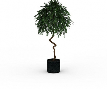 Modern Ground Green Plant Potted Plants-ID:422365903