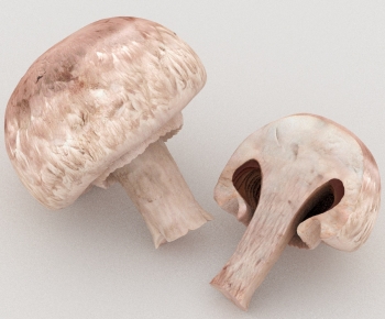 Modern Vegetables-ID:512551072