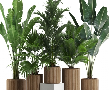 Modern Ground Green Plant Potted Plants-ID:605375055