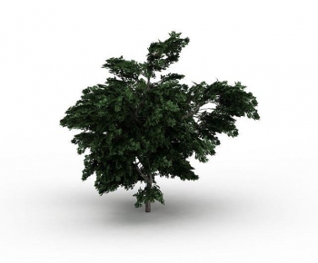 Modern Tree-ID:811558011