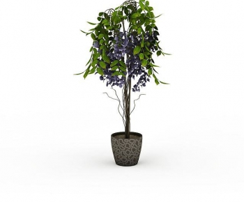 Modern Ground Green Plant Potted Plants-ID:407941105