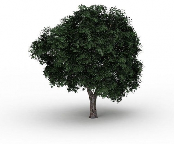 Modern Tree-ID:265495065