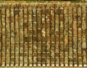 ModernRoof Tiles