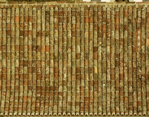 ModernRoof Tiles