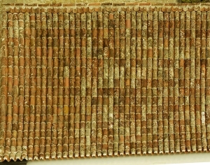 ModernRoof Tiles