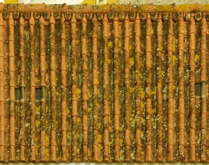屋顶红瓦青瓦木瓦琉璃瓦复合瓦-ID:191632034