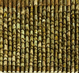 ModernRoof Tiles