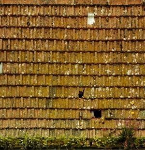 ModernRoof Tiles