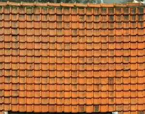 ModernRoof Tiles