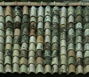 ModernRoof Tiles