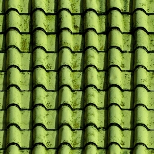 ModernRoof Tiles