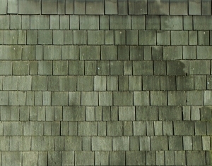 ModernRoof Tiles