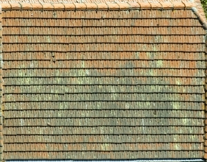 ModernRoof Tiles