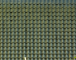 ModernRoof Tiles