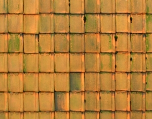 ModernRoof Tiles