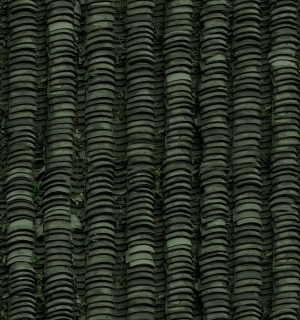 ModernRoof Tiles