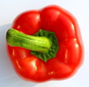 ModernFood