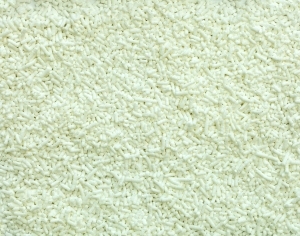 ModernFood
