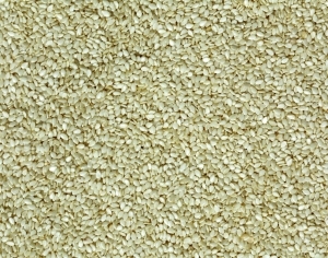 ModernFood