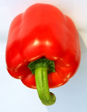 食物蔬菜-ID:353158001