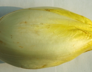 食物蔬菜-ID:298099535