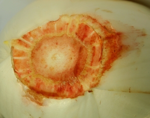 食物蔬菜-ID:553385971