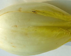 食物蔬菜-ID:469578035