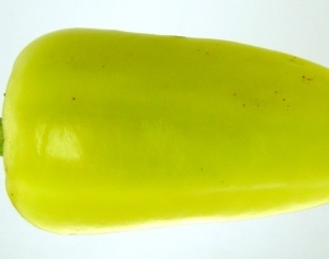 ModernFood