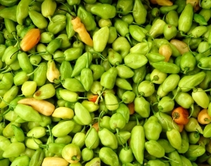 ModernFood